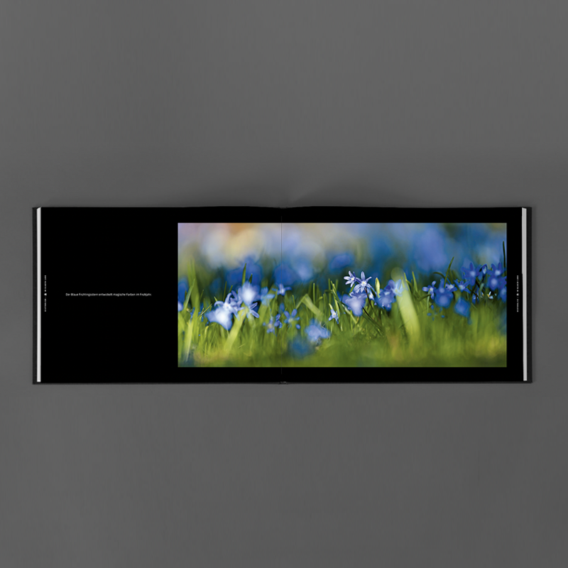 Editorial+Book Design Ammersee